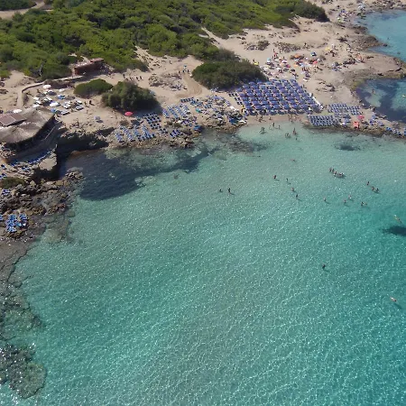 Divino * Gallipoli