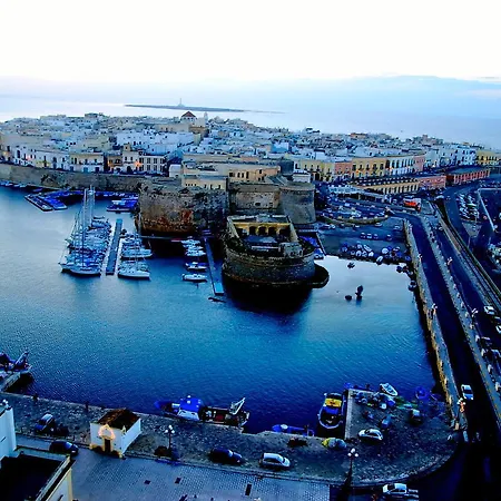 Divino Gallipoli
